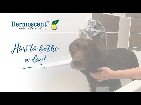 dermoscent_essential_efa_physio_shampoo_for_dogs_cats_200ml