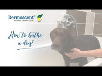 dermoscent_essential_efa_physio_shampoo_for_dogs_cats_200ml