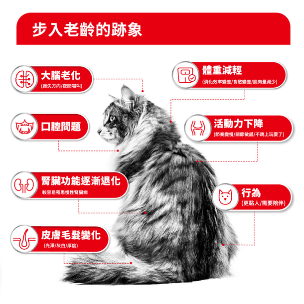 royal_canin_ageing_15_plus_cat_gravy