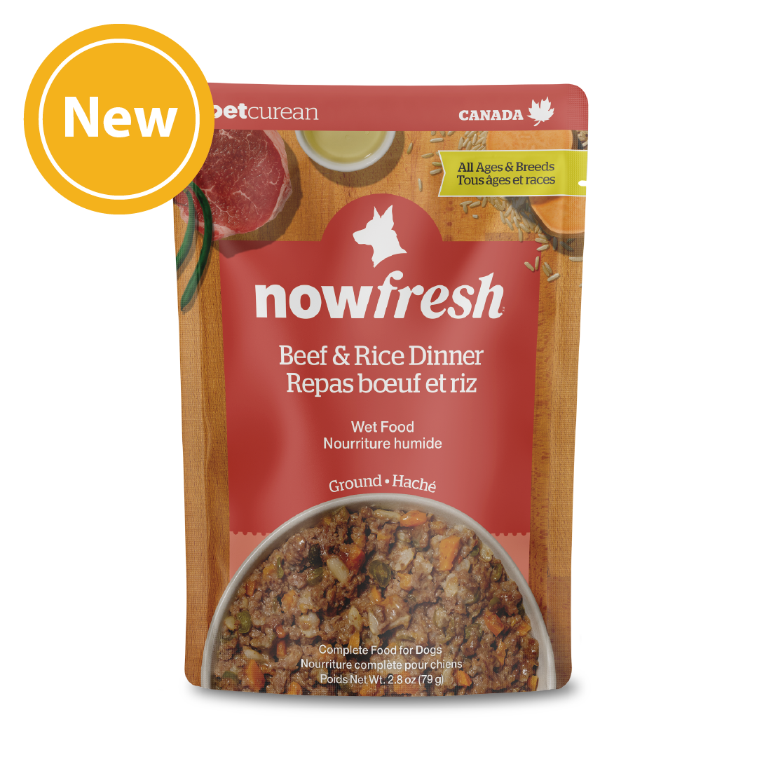 NowFresh - 狗濕糧 - 全年齡犬 牛肉及糙米濕包2.8oz
