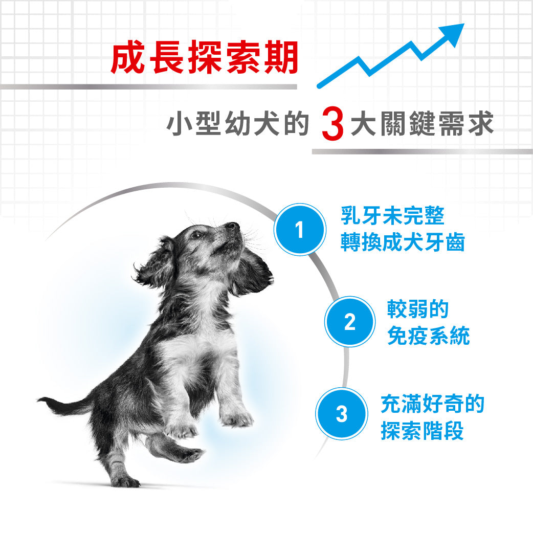 royal_canin_shn_dog_mini_puppy_wet_85g