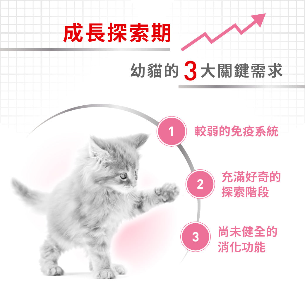 royal_canin_fhn_cat_kitten