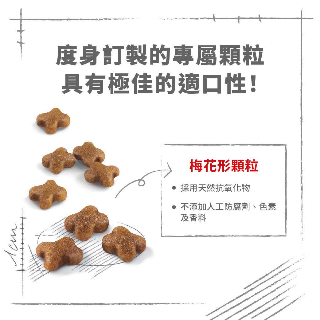 royal_canin_fhn_cat_kitten