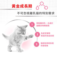 royal_canin_fhn_cat_mother_&_babycat_can