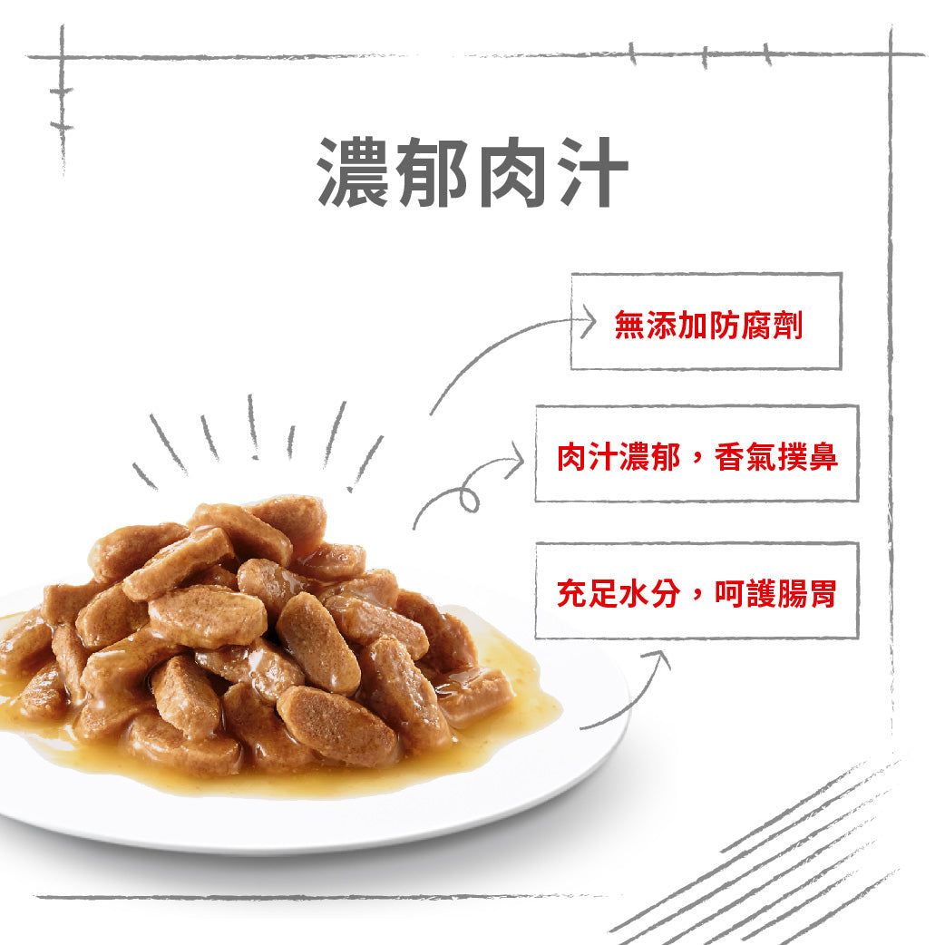 royal_canin_shn_dog_mini_puppy_wet_85g