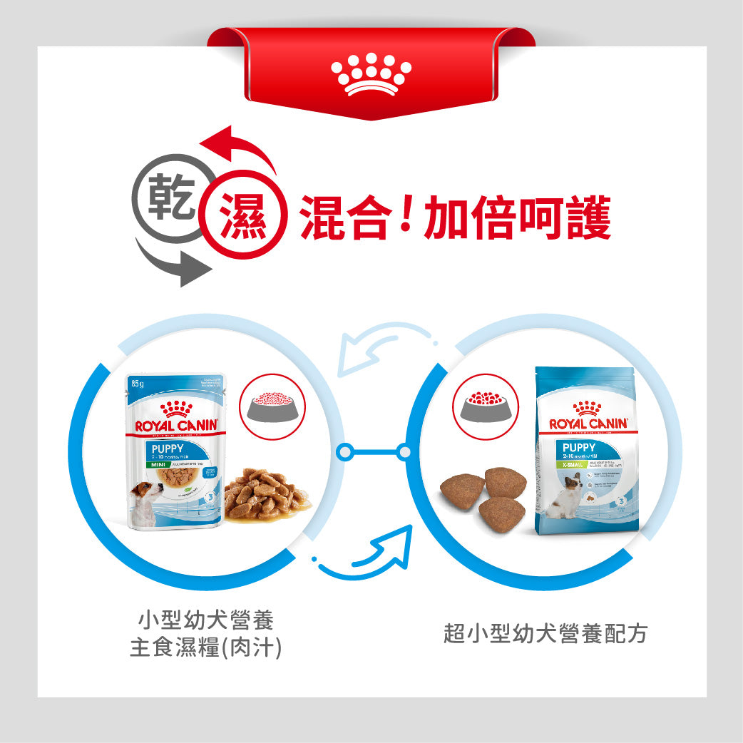 royal_canin_shn_dog_xsmall_puppy_1.5kg