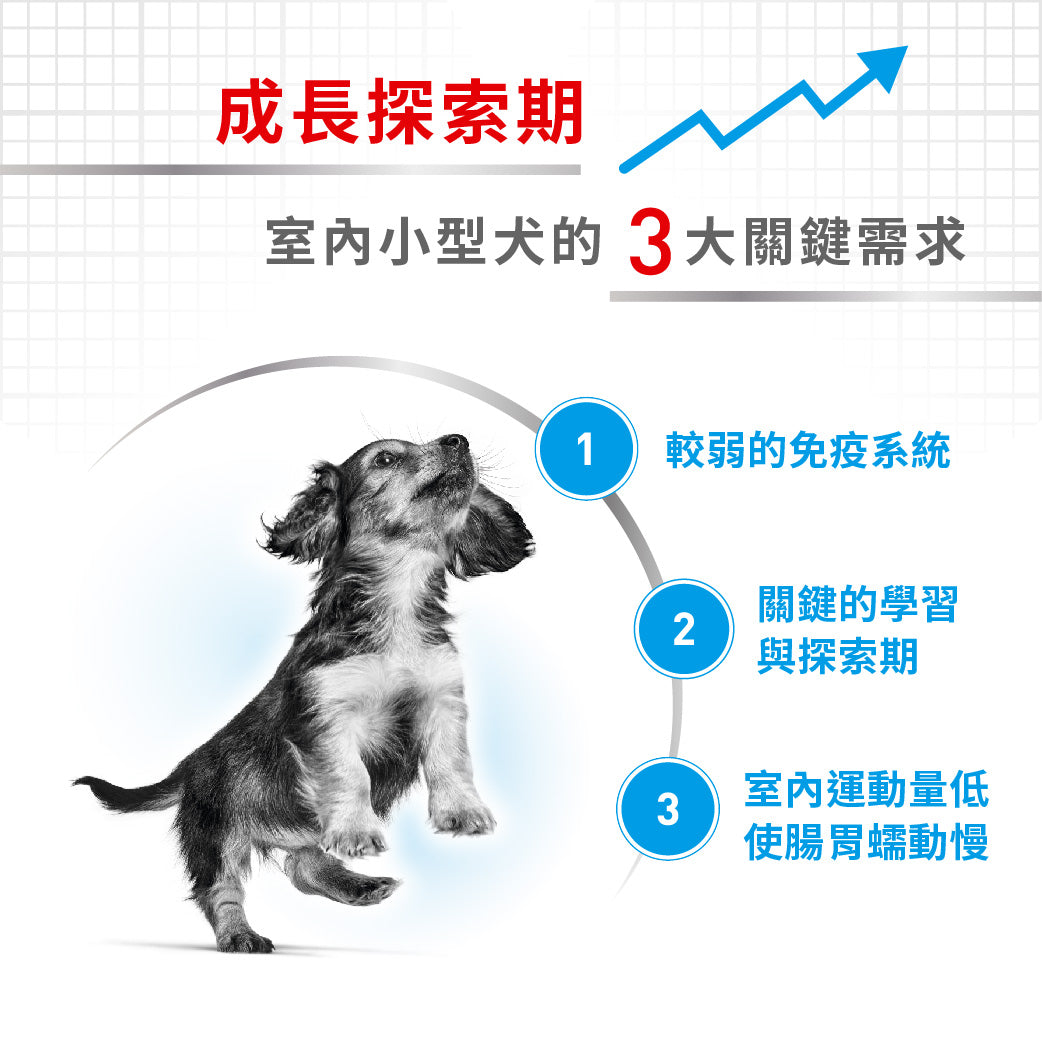 royal_canin_shn_dog_mini_indoor_puppy_3kg
