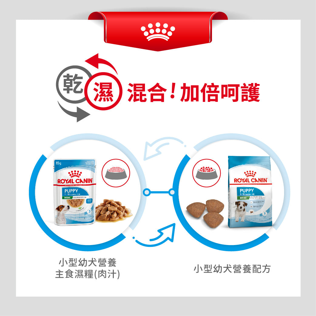 royal_canin_shn_dog_mini_puppy_wet_85g