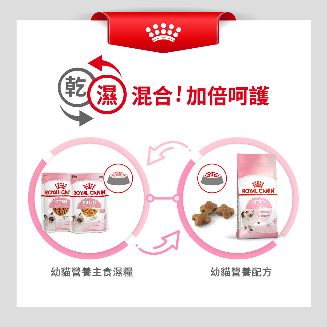 royal_canin_fhn_cat_kitten