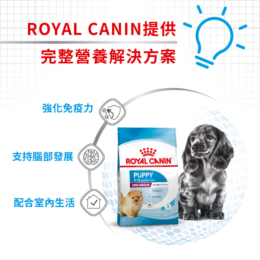 royal_canin_shn_dog_mini_indoor_puppy_3kg