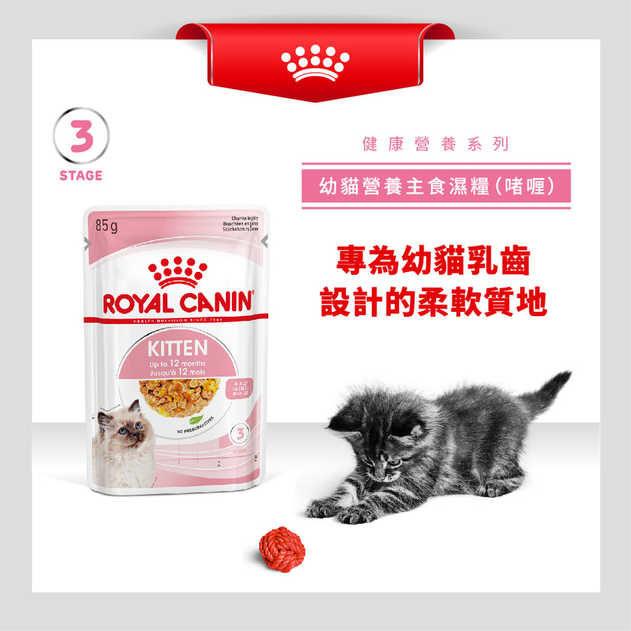 royal_canin_fhn_cat_kitten_wet