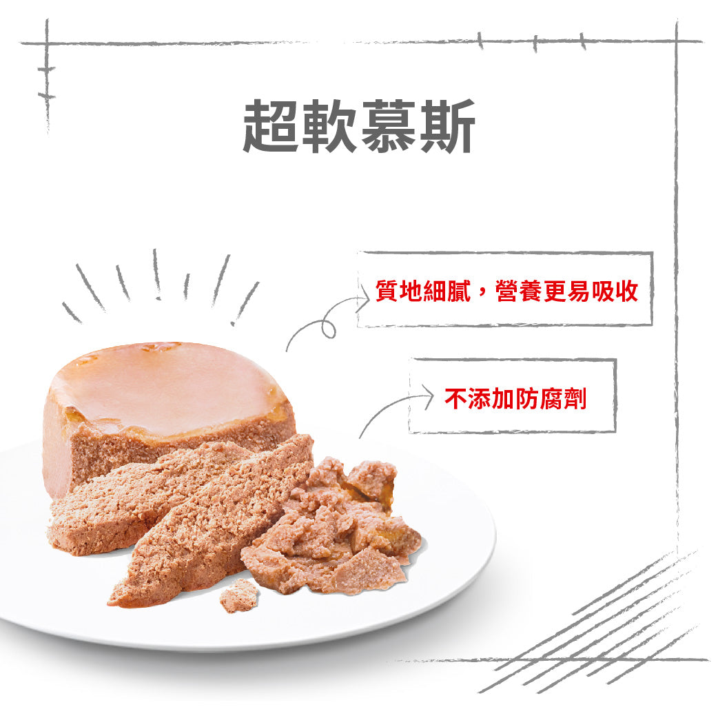 royal_canin_shn_dog_starter_mousse_can_195g