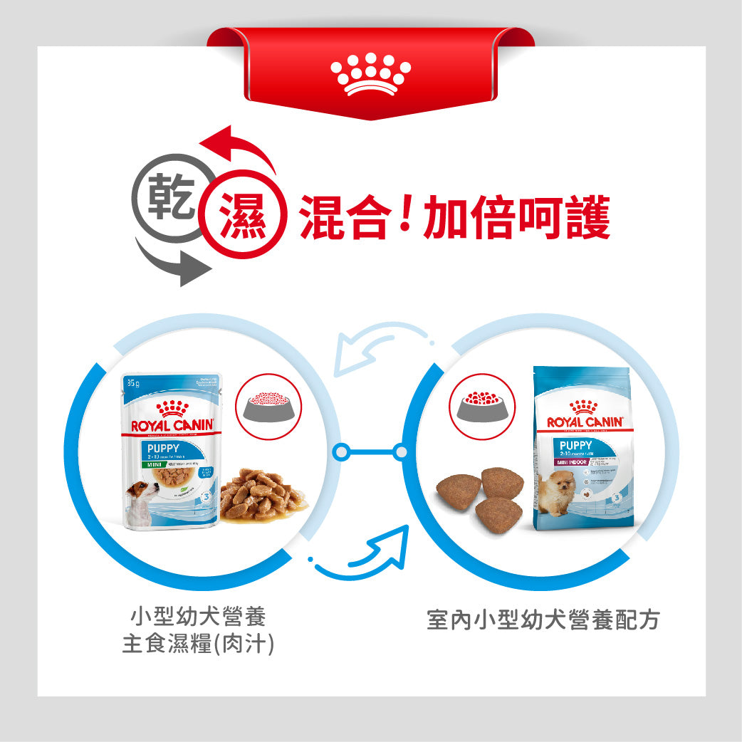 royal_canin_shn_dog_mini_indoor_puppy_3kg