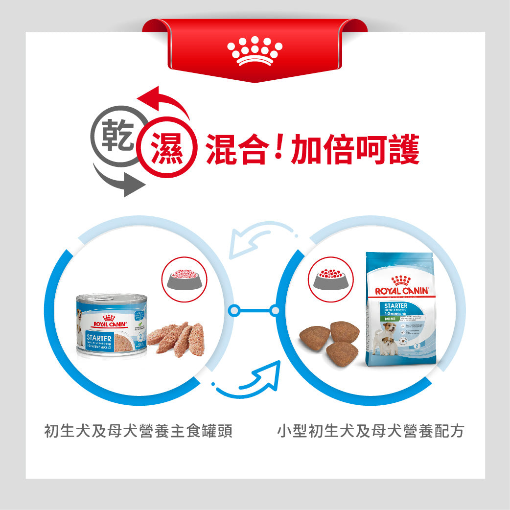 royal_canin_shn_dog_mini_starter_mother&baby