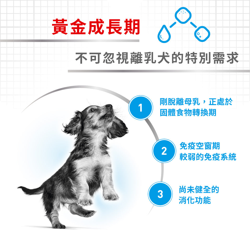 royal_canin_shn_dog_starter_mousse_can_195g