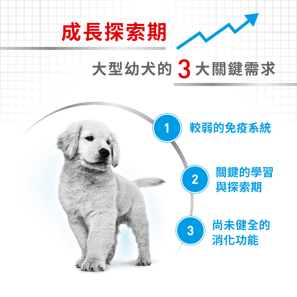 royal_canin_shn_dog_maxi_puppy_4kg