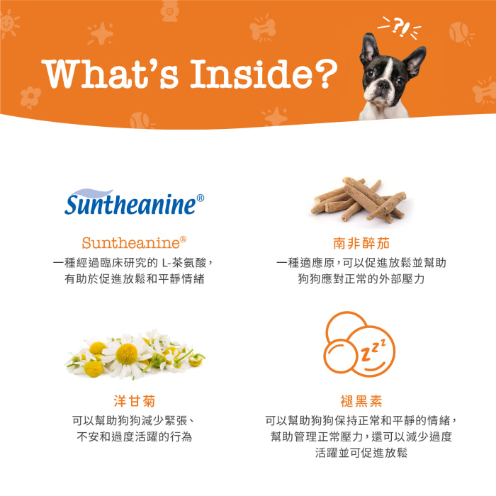 Zesty_Paws_Calming_Bites_舒緩咀嚼軟粒_火雞味_犬用