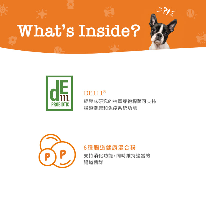 Zesty_Paws_Probiotic_Bites_益生菌咀嚼軟粒_南瓜味_犬用10粒裝