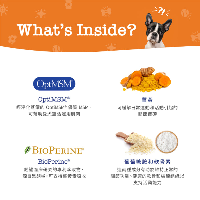 Zesty_Paws_Senior_Advanced_Hip_&_Joint_Bites_年長配方關節護理咀嚼軟粒_雞肉味(高齡犬用)