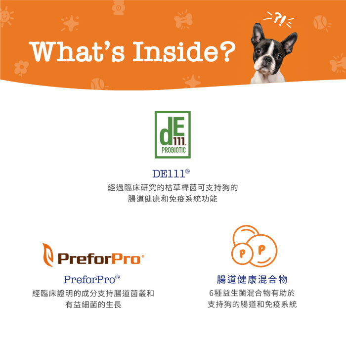 Zesty_Paws_Senior_Advanced_Probiotic_Bites_年長配方益生菌咀嚼軟粒_雞肉味(高齡犬用)